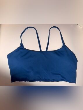 Paragon Fitwear Navy Blue Sports Bra